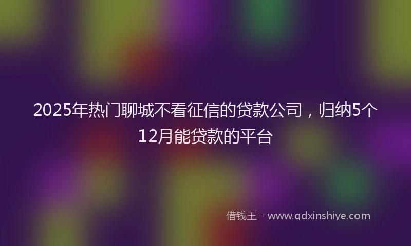 2025年热门聊城不看征信的贷款公司，归纳5个12月能贷款的平台