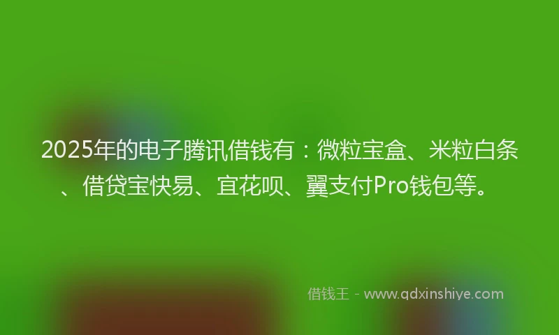 2025年的电子腾讯借钱有：微粒宝盒、米粒白条、借贷宝快易、宜花呗、翼支付Pro钱包等。