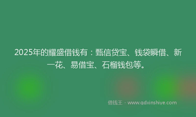 2025年的耀盛借钱有：甄信贷宝、钱袋瞬借、新一花、易借宝、石榴钱包等。