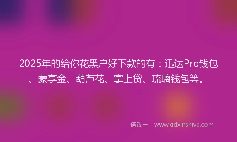 2025年的给你花黑户好下款的有：迅达Pro钱包、蒙享金、葫芦花、掌上贷、琉璃钱包等。