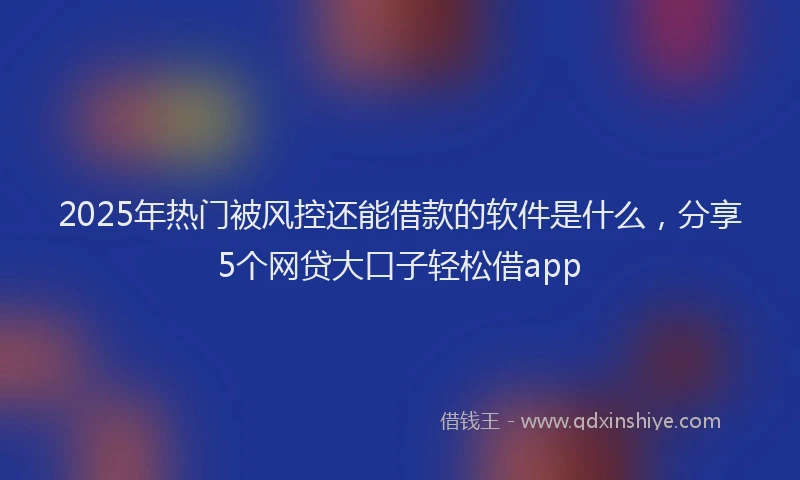 2025年热门被风控还能借款的软件是什么，分享5个网贷大口子轻松借app