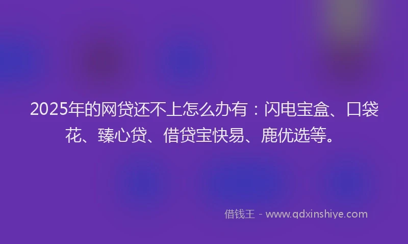 2025年的网贷还不上怎么办有：闪电宝盒、口袋花、臻心贷、借贷宝快易、鹿优选等。
