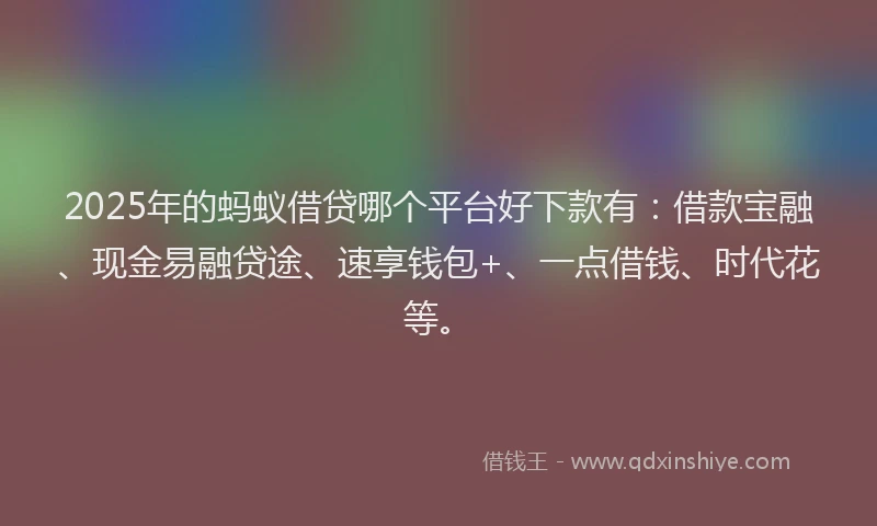 2025年的蚂蚁借贷哪个平台好下款有：借款宝融、现金易融贷途、速享钱包+、一点借钱、时代花等。