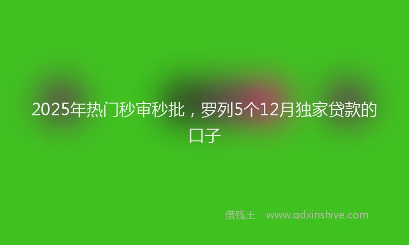 2025年热门秒审秒批，罗列5个12月独家贷款的口子