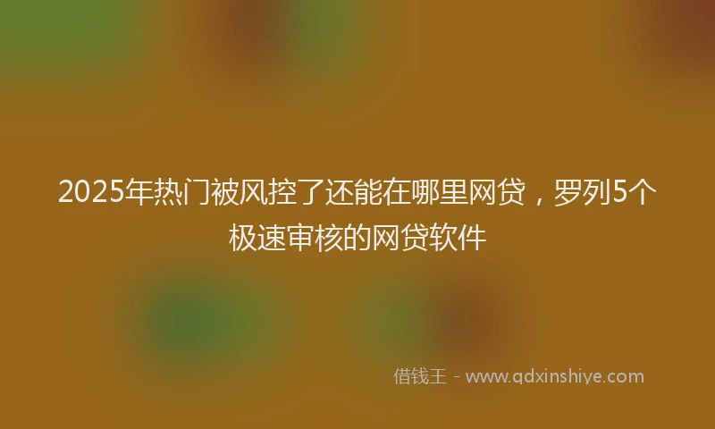 2025年热门被风控了还能在哪里网贷，罗列5个极速审核的网贷软件