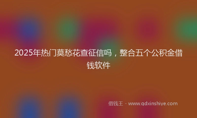 2025年热门莫愁花查征信吗，整合五个公积金借钱软件