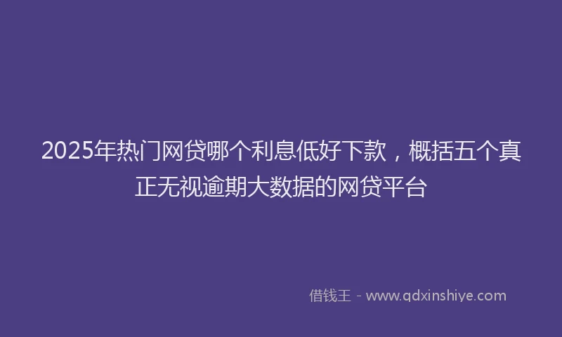 2025年热门网贷哪个利息低好下款，概括五个真正无视逾期大数据的网贷平台