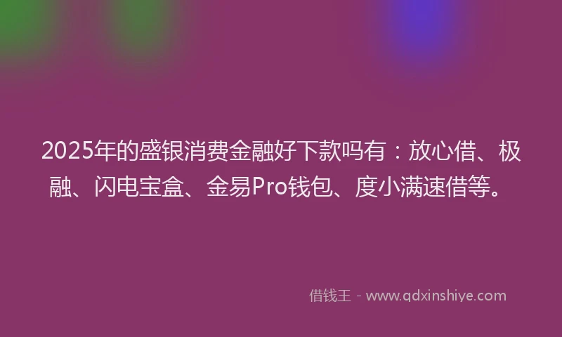 2025年的盛银消费金融好下款吗有：放心借、极融、闪电宝盒、金易Pro钱包、度小满速借等。