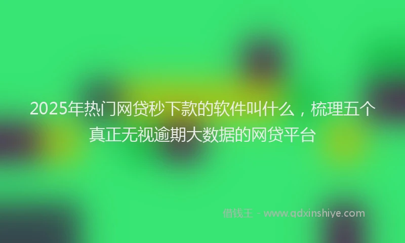 2025年热门网贷秒下款的软件叫什么，梳理五个真正无视逾期大数据的网贷平台