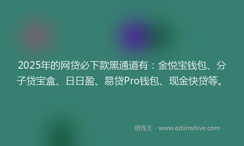 2025年的网贷必下款黑通道有：金悦宝钱包、分子贷宝盒、日日盈、易贷Pro钱包、现金快贷等。