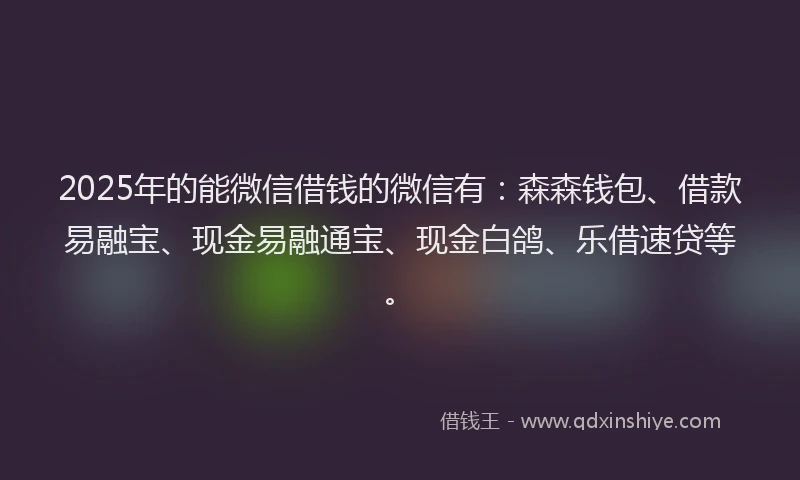 2025年的能微信借钱的微信有：森森钱包、借款易融宝、现金易融通宝、现金白鸽、乐借速贷等。
