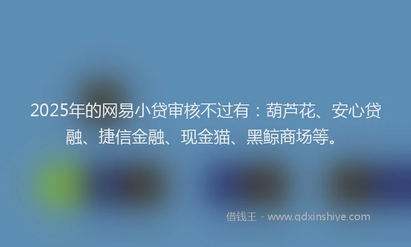 2025年的网易小贷审核不过有：葫芦花、安心贷融、捷信金融、现金猫、黑鲸商场等。