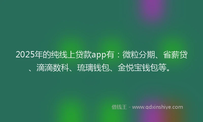2025年的纯线上贷款app有：微粒分期、省薪贷、滴滴数科、琉璃钱包、金悦宝钱包等。