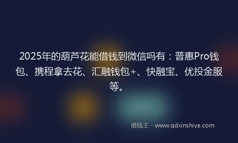 2025年的葫芦花能借钱到微信吗有：普惠Pro钱包、携程拿去花、汇融钱包+、快融宝、优投金服等。