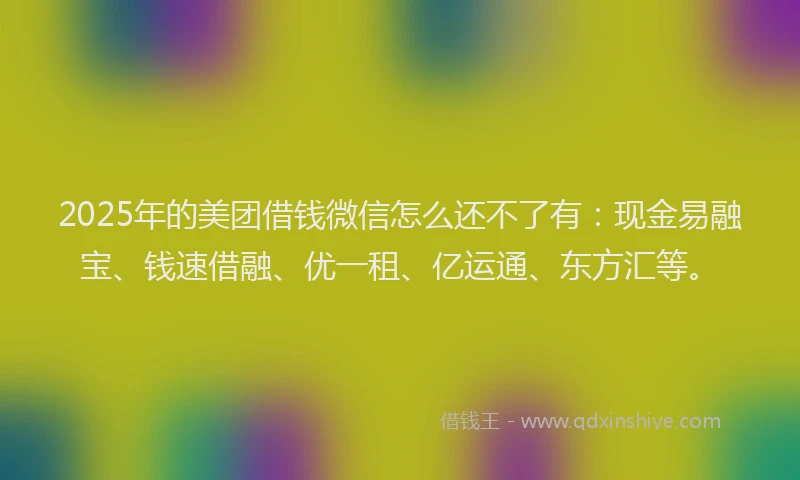 2025年的美团借钱微信怎么还不了有：现金易融宝、钱速借融、优一租、亿运通、东方汇等。