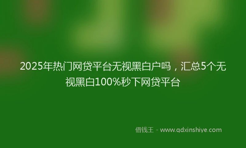 2025年热门网贷平台无视黑白户吗，汇总5个无视黑白100%秒下网贷平台