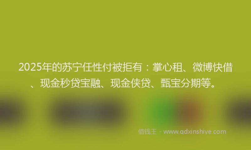 2025年的苏宁任性付被拒有：掌心租、微博快借、现金秒贷宝融、现金侠贷、甄宝分期等。