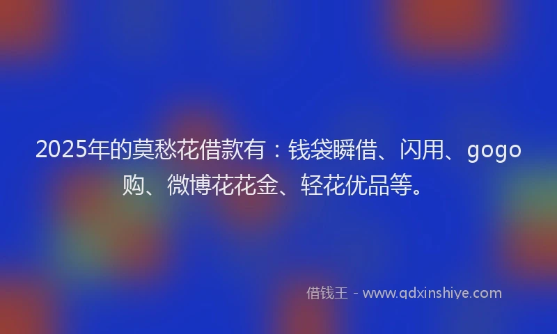 2025年的莫愁花借款有：钱袋瞬借、闪用、gogo购、微博花花金、轻花优品等。