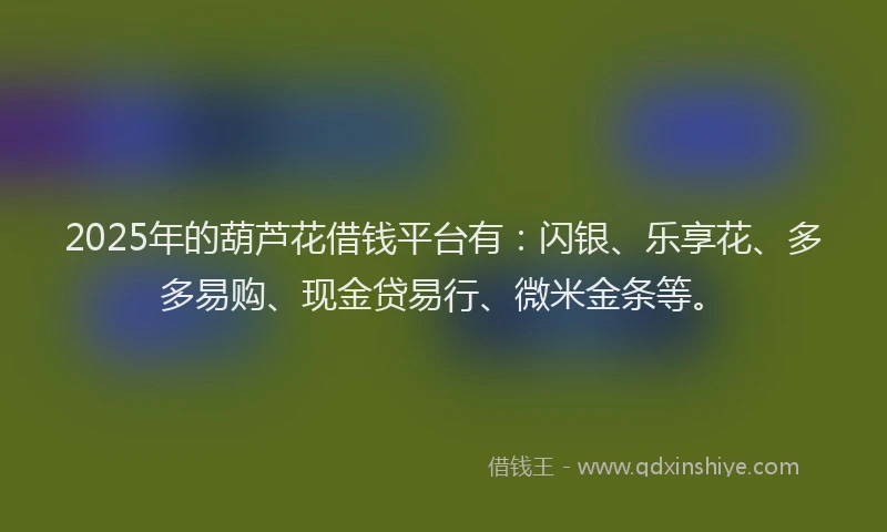 2025年的葫芦花借钱平台有：闪银、乐享花、多多易购、现金贷易行、微米金条等。