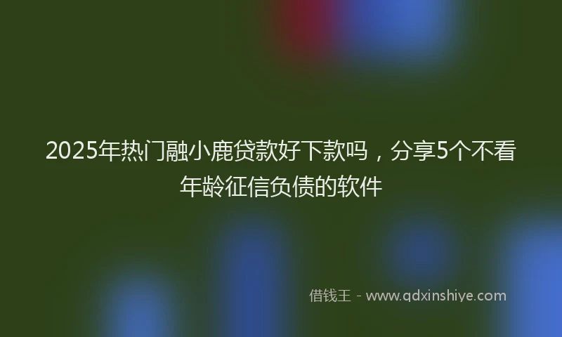 2025年热门融小鹿贷款好下款吗，分享5个不看年龄征信负债的软件