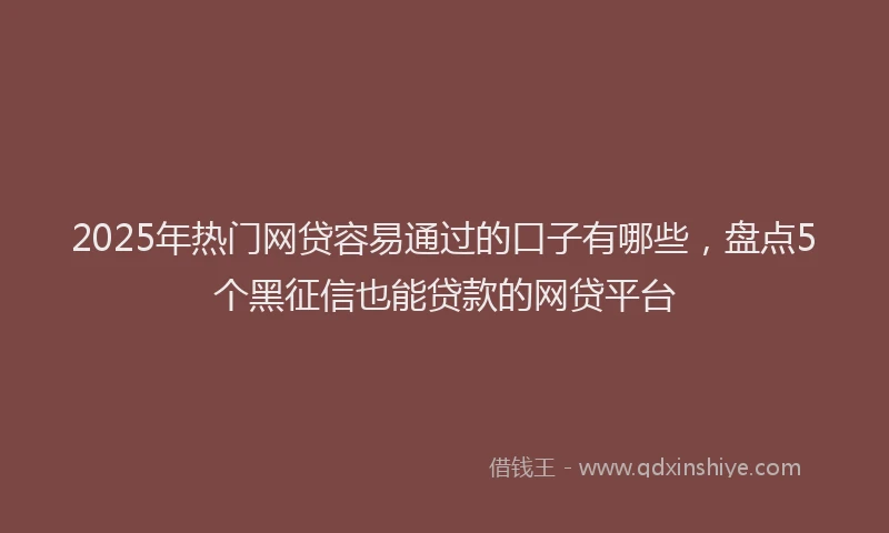 2025年热门网贷容易通过的口子有哪些，盘点5个黑征信也能贷款的网贷平台