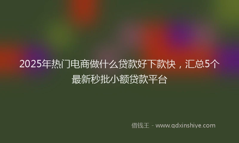 2025年热门电商做什么贷款好下款快，汇总5个最新秒批小额贷款平台