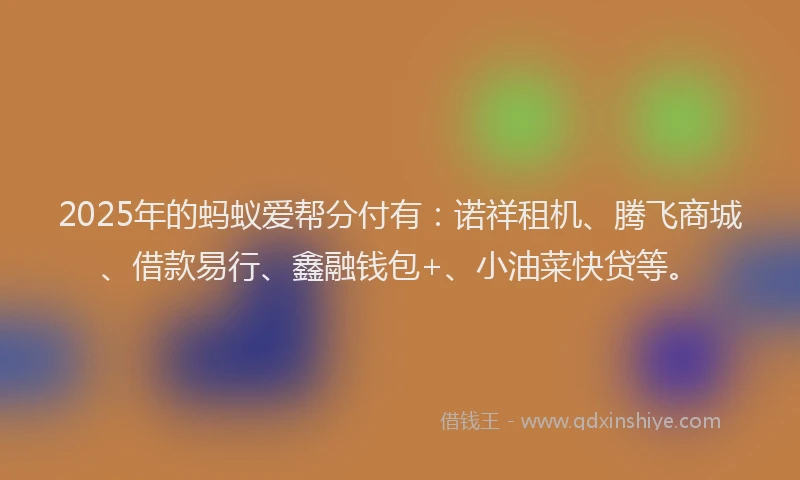 2025年的蚂蚁爱帮分付有：诺祥租机、腾飞商城、借款易行、鑫融钱包+、小油菜快贷等。