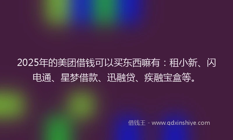 2025年的美团借钱可以买东西嘛有：租小新、闪电通、星梦借款、迅融贷、疾融宝盒等。