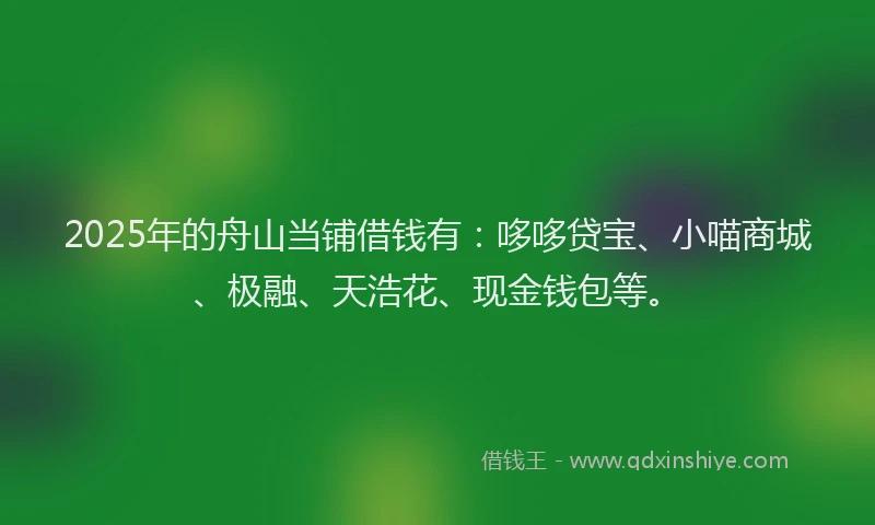2025年的舟山当铺借钱有：哆哆贷宝、小喵商城、极融、天浩花、现金钱包等。