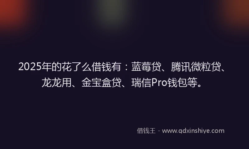 2025年的花了么借钱有：蓝莓贷、腾讯微粒贷、龙龙用、金宝盒贷、瑞信Pro钱包等。