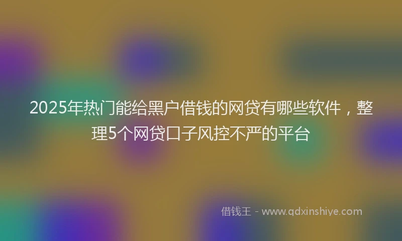 2025年热门能给黑户借钱的网贷有哪些软件，整理5个网贷口子风控不严的平台