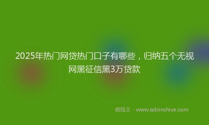 2025年热门网贷热门口子有哪些，归纳五个无视网黑征信黑3万贷款