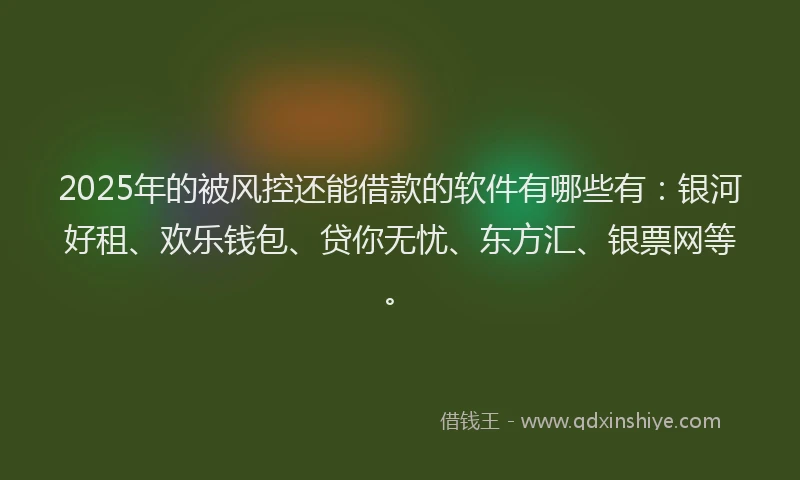 2025年的被风控还能借款的软件有哪些有：银河好租、欢乐钱包、贷你无忧、东方汇、银票网等。