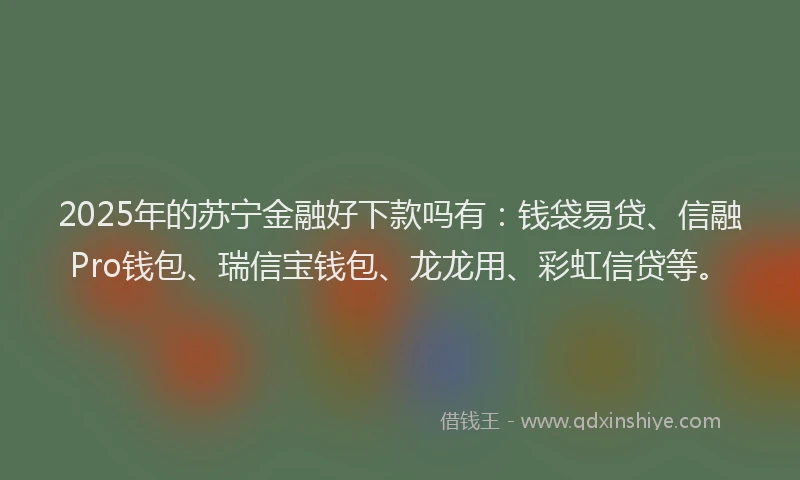 2025年的苏宁金融好下款吗有：钱袋易贷、信融Pro钱包、瑞信宝钱包、龙龙用、彩虹信贷等。