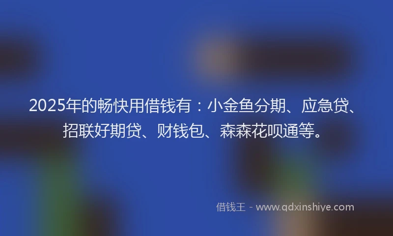 2025年的畅快用借钱有：小金鱼分期、应急贷、招联好期贷、财钱包、森森花呗通等。