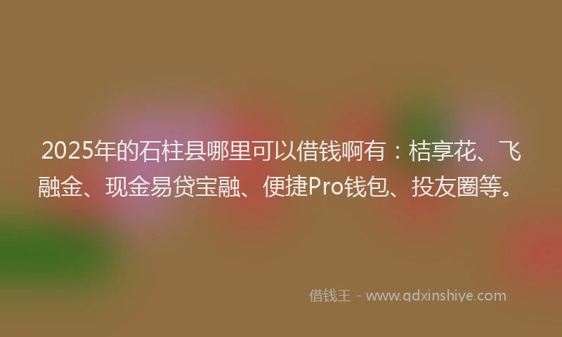 2025年的石柱县哪里可以借钱啊有：桔享花、飞融金、现金易贷宝融、便捷Pro钱包、投友圈等。