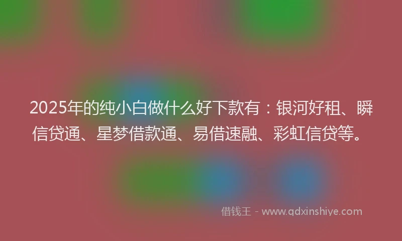 2025年的纯小白做什么好下款有：银河好租、瞬信贷通、星梦借款通、易借速融、彩虹信贷等。