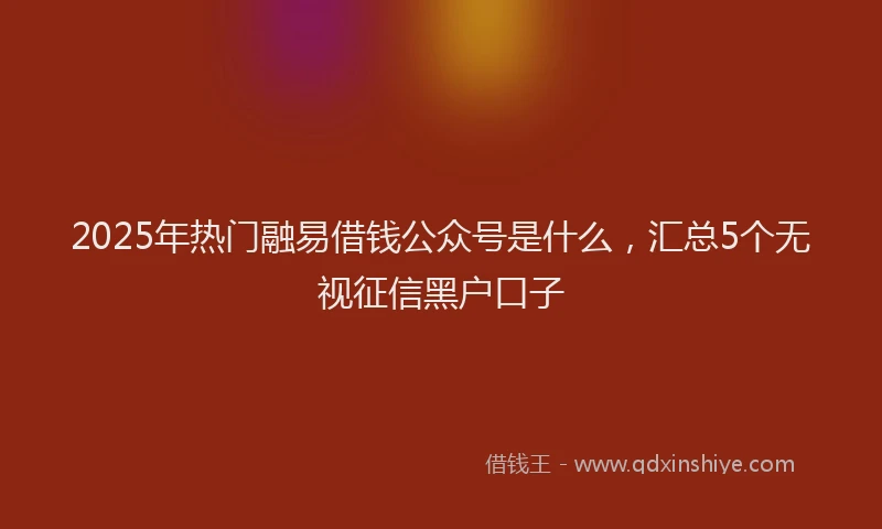 2025年热门融易借钱公众号是什么，汇总5个无视征信黑户口子