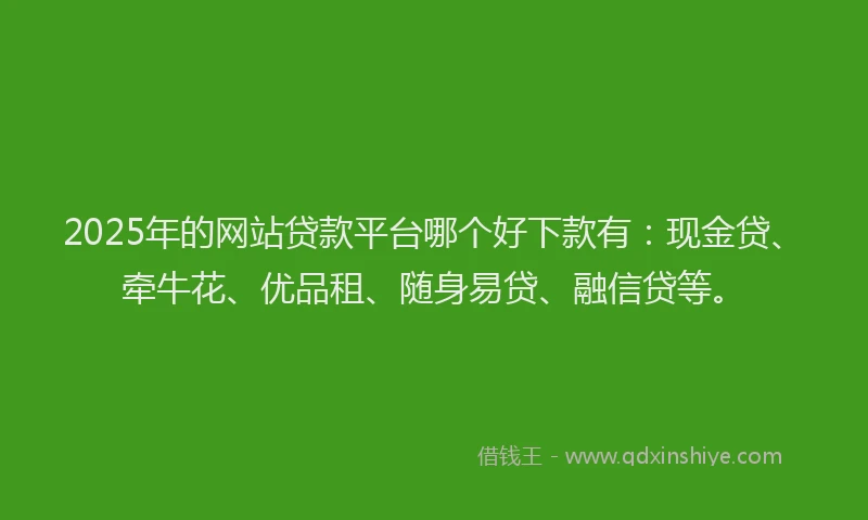 2025年的网站贷款平台哪个好下款有：现金贷、牵牛花、优品租、随身易贷、融信贷等。