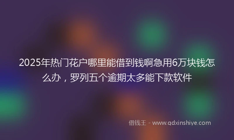 2025年热门花户哪里能借到钱啊急用6万块钱怎么办，罗列五个逾期太多能下款软件
