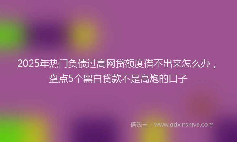 2025年热门负债过高网贷额度借不出来怎么办，盘点5个黑白贷款不是高炮的口子