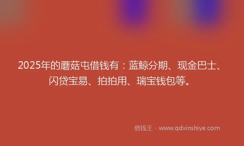 2025年的蘑菇屯借钱有：蓝鲸分期、现金巴士、闪贷宝易、拍拍用、瑞宝钱包等。