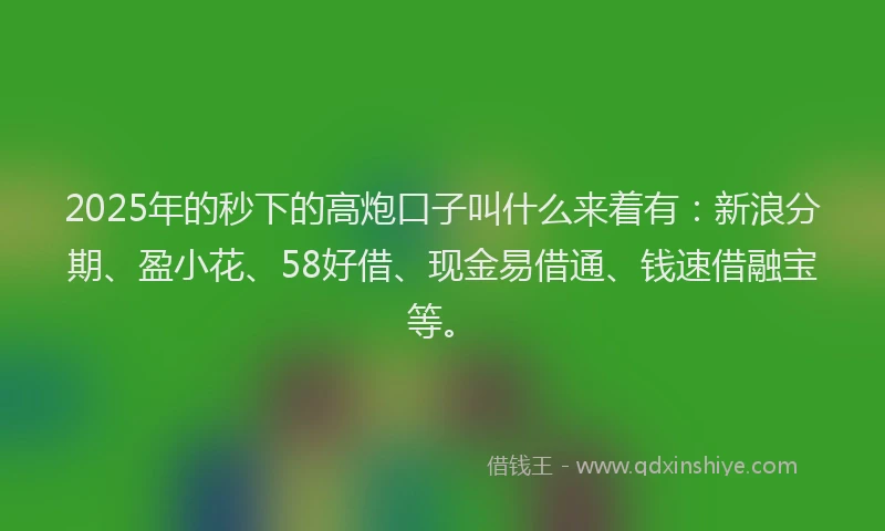 2025年的秒下的高炮口子叫什么来着有：新浪分期、盈小花、58好借、现金易借通、钱速借融宝等。