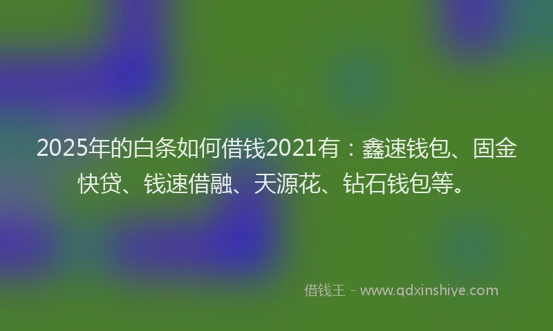 2025年的白条如何借钱2021有：鑫速钱包、固金快贷、钱速借融、天源花、钻石钱包等。