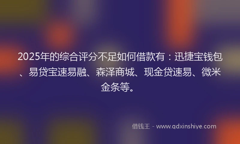 2025年的综合评分不足如何借款有：迅捷宝钱包、易贷宝速易融、森泽商城、现金贷速易、微米金条等。