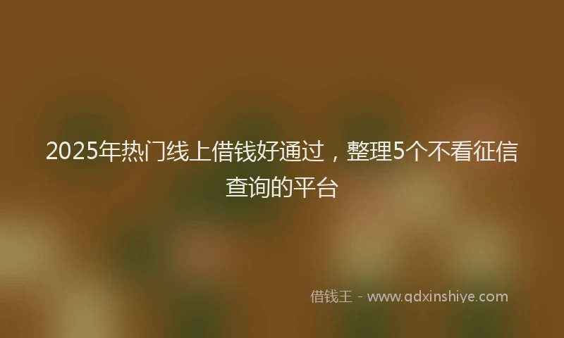 2025年热门线上借钱好通过，整理5个不看征信查询的平台