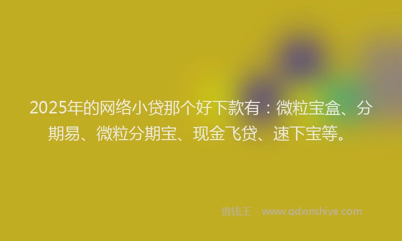 2025年的网络小贷那个好下款有：微粒宝盒、分期易、微粒分期宝、现金飞贷、速下宝等。