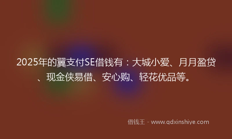 2025年的翼支付SE借钱有：大城小爱、月月盈贷、现金侠易借、安心购、轻花优品等。