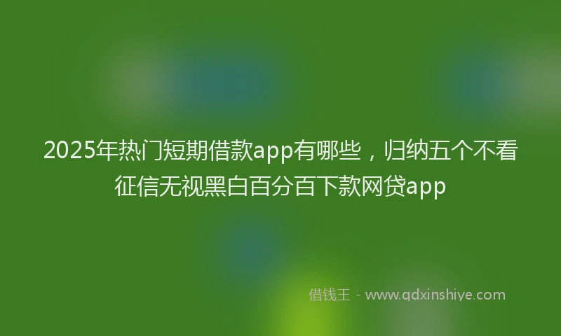 2025年热门短期借款app有哪些，归纳五个不看征信无视黑白百分百下款网贷app