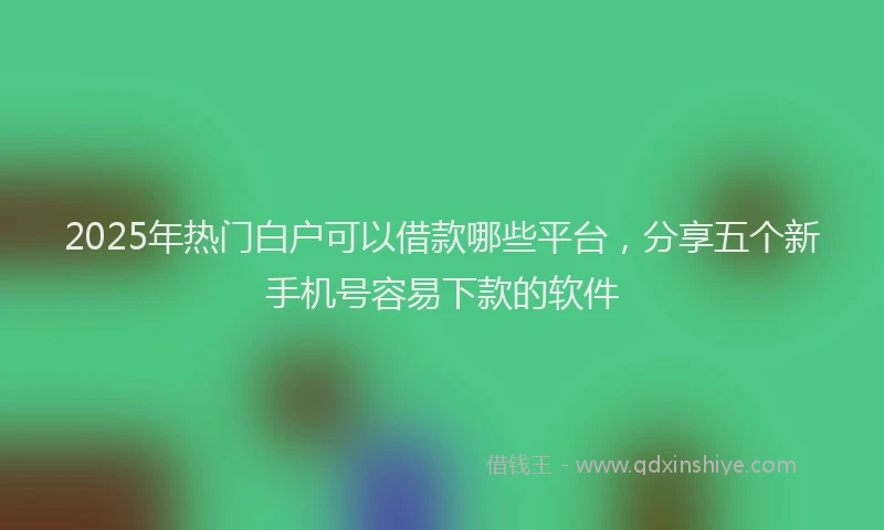 2025年热门白户可以借款哪些平台，分享五个新手机号容易下款的软件